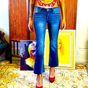 Lucky Brand Brooke Slim Boot Cut Jeans Sz 27